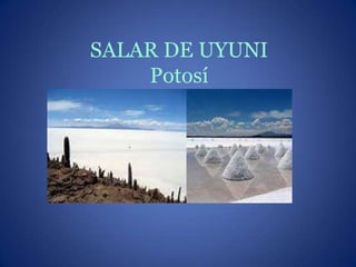 SALAR DE UYUNI
Potosí
 