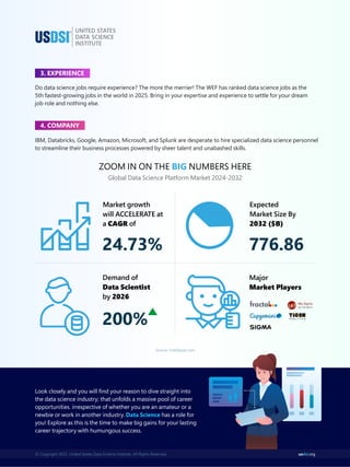 Salary Guide 2025 For Data Science Professional | PDF