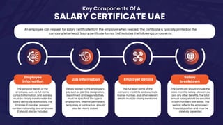 financial planning for UAE expats
