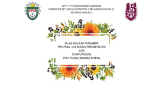 SALAS AGUILAR FERNANDA
TIPS PARA UNA BUENA PRESENTACION
1IV8
COMPUTACION
PROFESORA: MARINA RIVERA
INSTITUTO POLITECNICO NACIONAL
CENTRO DE ESTUDIOS CIENTIFICOS Y TECNOLOGICOS NO.11
WILFRIDO MASSIEU
 