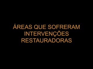 ÁREAS QUE SOFRERAM 
INTERVENÇÕES 
RESTAURADORAS 
 
