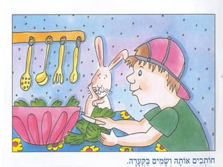 Salat ierakot