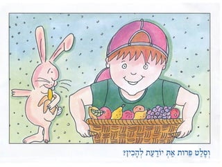 Salat ierakot