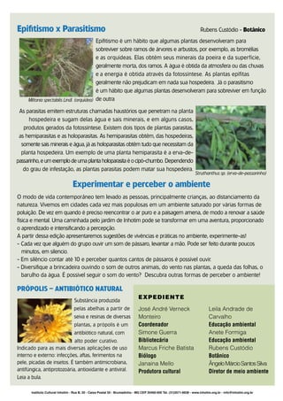Epifitismo x Parasitismo                                                                                                 Rubens Custódio - Botânico
                                            Epifitismo é um hábito que algumas plantas desenvolveram para
                                            sobreviver sobre ramos de árvores e arbustos, por exemplo, as bromélias
                                            e as orquídeas. Elas obtêm seus minerais da poeira e da superfície,
                                            geralmente morta, dos ramos. A água é obtida da atmosfera ou das chuvas
                                            e a energia é obtida através da fotossíntese. As plantas epífitas
                                            geralmente não prejudicam em nada sua hospedeira. Já o parasitismo
                                            é um hábito que algumas plantas desenvolveram para sobreviver em função
     Miltonia spectabilis Lindl. (orquídea) de outra

 As parasitas emitem estruturas chamadas haustórios que penetram na planta
      hospedeira e sugam delas água e sais minerais, e em alguns casos,
   produtos gerados da fotossíntese. Existem dois tipos de plantas parasitas,
 as hemiparasitas e as holoparasitas. As hemiparasitas obtêm, das hospedeiras,
  somente sais minerais e água, já as holoparasitas obtêm tudo que necessitam da
  planta hospedeira. Um exemplo de uma planta hemiparasita é a erva-de-
passarinho, e um exemplo de uma planta holoparasita é o cipó-chumbo. Dependendo
   do grau de infestação, as plantas parasitas podem matar sua hospedeira.
                                                                                                                     Struthanthus sp. (erva-de-passarinho)

                                  Experimentar e perceber o ambiente
O modo de vida contemporâneo tem levado as pessoas, principalmente crianças, ao distanciamento da
natureza. Vivemos em cidades cada vez mais populosas em um ambiente saturado por várias formas de
poluição. De vez em quando é preciso reencontrar o ar puro e a paisagem amena, de modo a renovar a saúde
física e mental. Uma caminhada pelo jardim de Inhotim pode se transformar em uma aventura, proporcionado
o aprendizado e intensificando a percepção.
A partir dessa edição apresentaremos sugestões de vivências e práticas no ambiente, experimente-as!
- Cada vez que alguém do grupo ouvir um som de pássaro, levantar a mão. Pode ser feito durante poucos
   minutos, em silencio.
- Em silêncio contar até 10 e perceber quantos cantos de pássaros é possível ouvir.
- Diversifique a brincadeira ouvindo o som de outros animais, do vento nas plantas, a queda das folhas, o
   barulho da água. É possível seguir o som do vento? Descubra outras formas de perceber o ambiente!

PRÓPOLIS – ANTIBIÓTICO NATURAL
                                                                               EXPEDIENTE
                                   Substância produzida
                                   pelas abelhas a partir de                   José André Verneck                              Leila Andrade de
                                   seiva e resinas de diversas                 Monteiro                                        Carvalho
                                   plantas, a própolis é um                    Coordenador                                     Educação ambiental
                                   antibiótico natural, com                    Simone Guerra                                   Anete Formiga
                            alto poder curativo.                               Bibliotecária                                   Educação ambiental
Indicado para as mais diversas aplicações de uso                               Marcus Friche Batista                           Rubens Custódio
interno e externo: infecções, aftas, ferimentos na                             Biólogo                                         Botânico
pele, picadas de insetos. É também antimicrobiana,                             Janaina Mello                                   Ângelo Márcio Santos Silva
antifúngica, antiprotozoária, antioxidante e antiviral.                        Produtora cultural                              Diretor de meio ambiente
Leia a bula.

       Instituto Cultural Inhotim - Rua B, 20 - Caixa Postal 50 - Brumadinho - MG CEP 35460-000 Tel. (31)3571-6638 - www.inhotim.org.br - info@inhotim.org.br
 