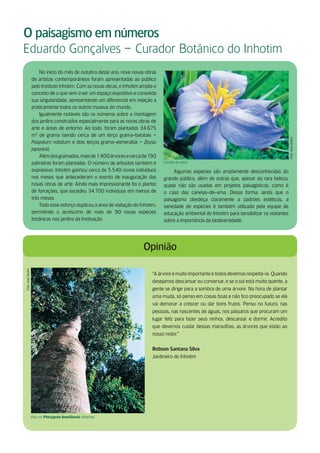 O paisagismo em números
Eduardo Gonçalves – Curador Botânico do Inhotim
                       No início do mês de outubro deste ano, nove novas obras
                   de artistas contemporâneos foram apresentadas ao público
                   pelo Instituto Inhotim. Com as novas obras, o Inhotim amplia o
                   conceito de o que vem a ser um espaço expositivo e consolida
                   sua singularidade, apresentando um diferencial em relação a
                   praticamente todos os outros museus do mundo.
                       Igualmente notáveis são os números sobre a montagem
                   dos jardins construídos especialmente para as novas obras de
                   arte e áreas de entorno. Ao todo, foram plantados 34.675
                   m2 de grama (sendo cerca de um terço grama-batatais –




                                                                                                                                                    Foto: José André
                   Paspalum notatum e dois terços grama-esmeralda – Zoysia
                   japonica).
                       Além dos gramados, mais de 1.400 árvores e cerca de 190
                   palmeiras foram plantadas. O número de arbustos também é         Canela de ema

                   expressivo: Inhotim ganhou cerca de 5.540 novos indivíduos            Algumas espécies são amplamente desconhecidas do
                   nos meses que antecederam o evento de inauguração das            grande público, além de outras que, apesar da rara beleza,
                   novas obras de arte. Ainda mais impressionante foi o plantio     quase não são usadas em projetos paisagísticos, como é
                   de forrações, que excedeu 34.700 indivíduos em menos de          o caso das canelas-de-ema. Dessa forma, ainda que o
                   três meses.                                                      paisagismo obedeça claramente a padrões estéticos, a
                       Todo esse esforço duplicou a área de visitação do Inhotim,   variedade de espécies é também utilizada pela equipe de
                   permitindo o acréscimo de mais de 90 novas espécies              educação ambiental do Inhotim para sensibilizar os visitantes
                   botânicas nos jardins da Instituição.                            sobre a importância da biodiversidade.




                                                                          Opinião
Foto: José André




                                                                               “A árvore é muito importante e todos devemos respeitá-la. Quando
                                                                               desejamos descansar ou conversar, e se o sol está muito quente, a
                                                                               gente se dirige para a sombra de uma árvore. Na hora de plantar
                                                                               uma muda, só penso em coisas boas e não fico preocupado se ela
                                                                               vai demorar a crescer ou dar bons frutos. Penso no futuro, nas
                                                                               pessoas, nas nascentes de águas, nos pássaros que procuram um
                                                                               lugar feliz para fazer seus ninhos, descansar e dormir. Acredito
                                                                               que devemos cuidar dessas maravilhas, as árvores que estão ao
                                                                               nosso redor.”

                                                                               Robson Santana Silva
                                                                               Jardineiro do Inhotim




                   Pau-rei Pterygota brasiliensis Allemao
 
