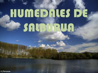 HUMEDALES DE SALBURUA 
