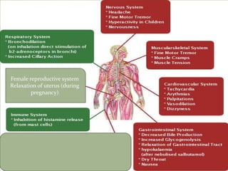 Female reproductive system
Relaxation of uterus (during
        pregnancy)
 