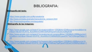 BIBLIOGRAFIA:
Bibliografía del texto:
https://www.google.com.co/#q=anatomia
http://www.onmeda.es/anatomia/anatomia_corazon.html
http://historiaybiografias.com/esqueleto/
Bibliografía de las imágenes:
https://www.google.com.co/search?q=anatomia&biw=1093&bih=534&source=lnms&tbm=is
ch&sa=X&ved=0CAYQ_AUoAWoVChMI7ZbRz6HgxwIVxSUeCh2MqAnW
https://www.google.com.co/search?q=anatomia+el+corazon&biw=1093&bih=498&source=l
nms&tbm=isch&sa=X&ved=0CAYQ_AUoAWoVChMI4bf02KLgxwIVk7YeCh3NmgsP&dpr=1
.25
https://www.google.com.co/search?q=huesos+del+cuerpo&biw=1093&bih=498&source=ln
ms&tbm=isch&sa=X&ved=0CAYQ_AUoAWoVChMIvazYqaPgxwIVQZoeCh0SMAzm&dpr=1
.25
 