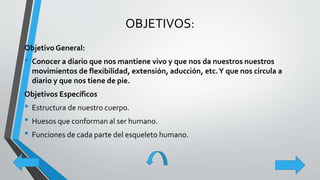 OBJETIVOS:
Objetivo General:
• Conocer a diario que nos mantiene vivo y que nos da nuestros nuestros
movimientos de flexibilidad, extensión, aducción, etc.Y que nos circula a
diario y que nos tiene de pie.
Objetivos Específicos
• Estructura de nuestro cuerpo.
• Huesos que conforman al ser humano.
• Funciones de cada parte del esqueleto humano.
 
