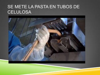 SE METE LA PASTA EN TUBOS DE
CELULOSA

 