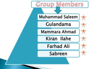 Muhammad Saleem
Gulandama
Kiran Ilahe
Mammara Ahmad
Farhad Ali
Sabreen
 