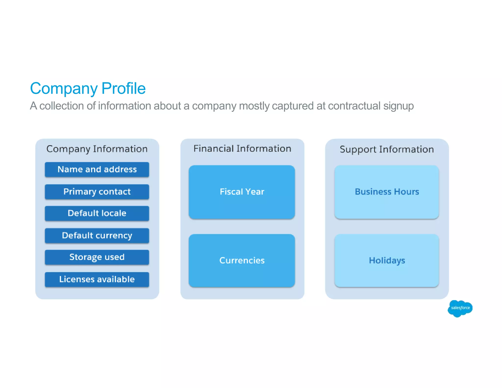 Company Profile
A collection of information about a company mostly captured at contractual signup
 