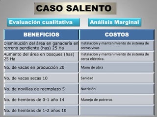 CASO SALENTO Evaluación cualitativa Análisis Marginal 