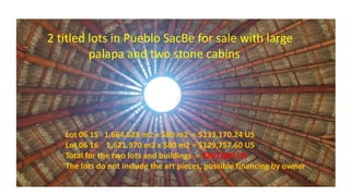 2 titled lots in Pueblo SacBe for sale with large
palapa and two stone cabins
Lot 06 15 1,664.628 m2 x $80 m2 = $133,170.24 US
Lot 06 16 1,621.970 m2 x $80 m2 = $129,757.60 US
Total for the two lots and buildings = $263,000 US
The lots do not include the art pieces, possible financing by owner
 
