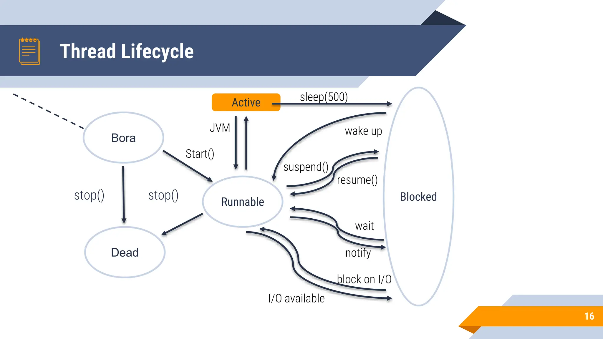 Thread Lifecycle
stop() stop()
16
Bora
Dead
Runnable Blocked
Active
Start()
JVM
sleep(500)
wake up
suspend()
resume()
wait
notify
block on I/O
I/O available
 