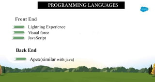 PROGRAMMING LANGUAGES
Front End
Lightning Experience
Visual force
JavaScript
Back End
Apex(similar with java)
 