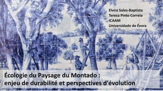Écologie du Paysage du Montado :
enjeu de durabilité et perspectives d'évolution
Elvira Sales-Baptista
Teresa Pinto Correia
ICAAM
Universidade de Évora
 