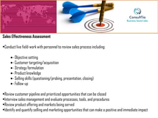 Sales Effectiveness Assessment

•Conduct live field-work with personnel to review sales process including:

       - Objective setting
       - Customer targeting/acquisition
       - Strategy formulation
       - Product knowledge
       - Selling skills (questioning/probing, presentation, closing)
       - Follow-up

•Review customer pipeline and prioritized opportunities that can be closed
•Interview sales management and evaluate processes, tools, and procedures
•Review product offering and markets being served
•Identify and quantify selling and marketing opportunities that can make a positive and immediate impact
 