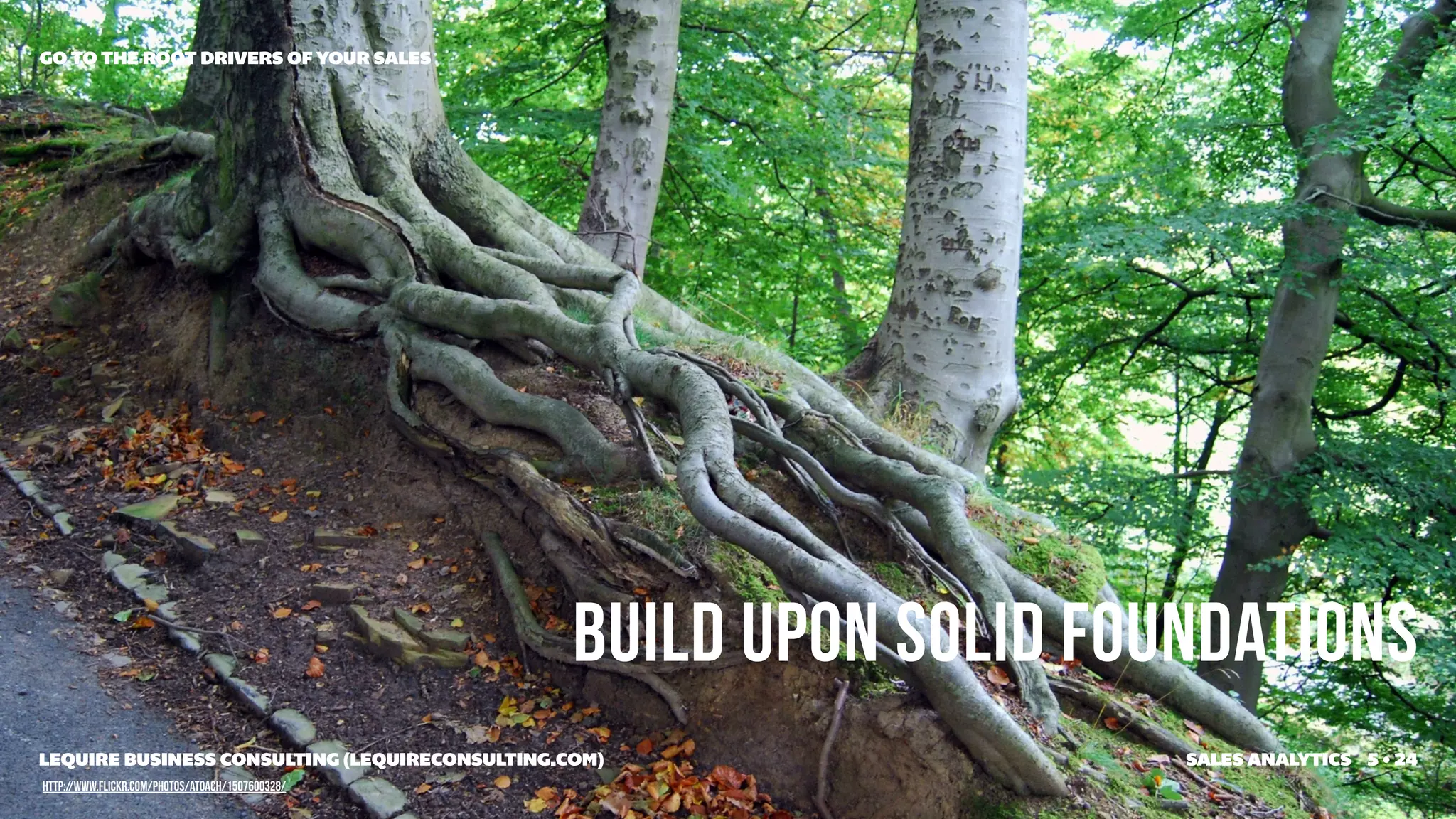 GO TO THE ROOT DRIVERS OF YOUR SALES




                                                  Build upon SOLID foundationS
LEQUIRE BUSINESS CONSULTING (LEQUIRECONSULTING.COM)                   SALES ANALYTICS 5 • 24
http://www.flickr.com/photos/atoach/1507600328/
 