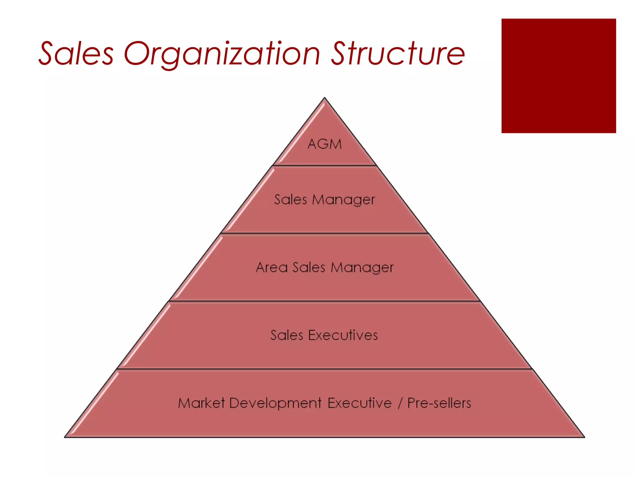 Sales Organization Structure
 