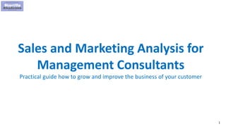 1
Sales and Marketing Analysis for
Management Consultants
Practical guide how to grow and improve the business of your customer
 