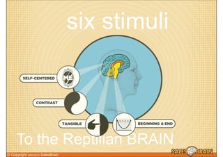 six stimuli



     To the Reptilian BRAIN
© Copyright 2002-2010 SalesBrain
 