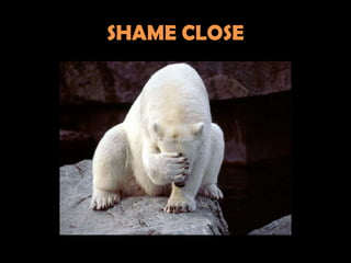 SHAME CLOSE
 