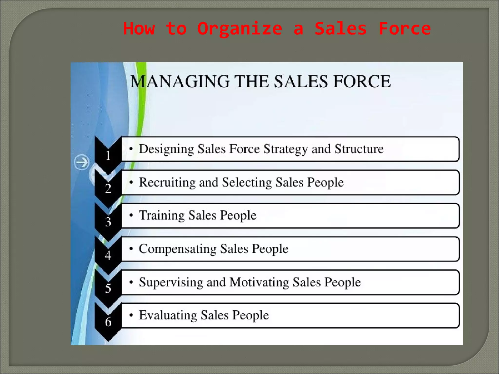 How to Organize a Sales Force
 