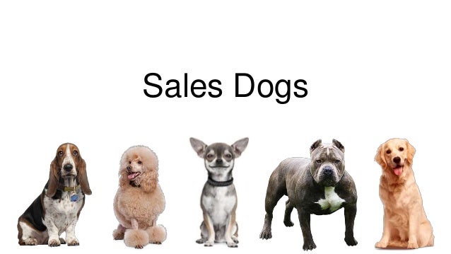 the 5 types of sales people and their dog equivalent sales doc