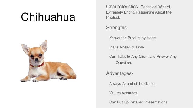 the 5 types of sales people and their dog equivalent sales doc