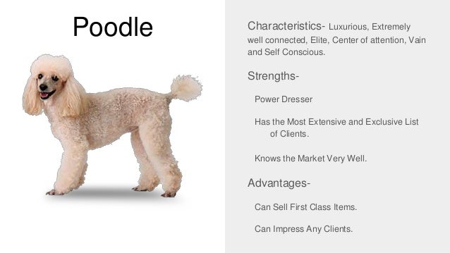 The 5 Types Of Sales People And Their Dog Equivalent