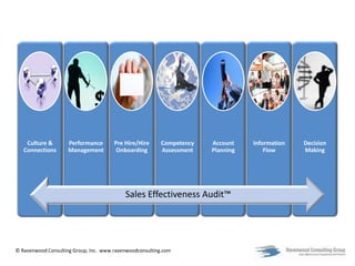 Sales Effectiveness Audit™ 