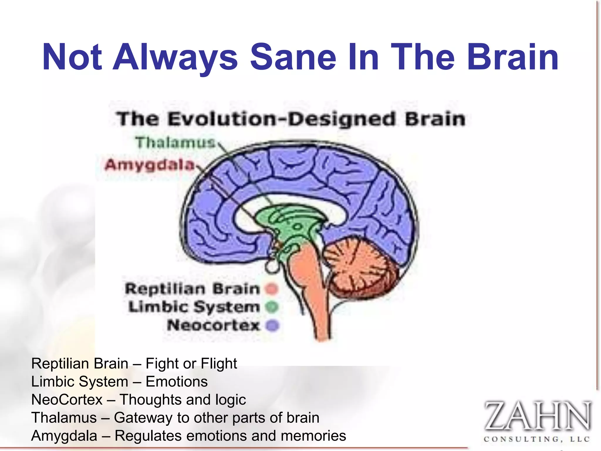 Not Always Sane In The Brain




Reptilian Brain – Fight or Flight
Limbic System – Emotions
NeoCortex – Thoughts and logic
Thalamus – Gateway to other parts of brain
Amygdala – Regulates emotions and memories
 