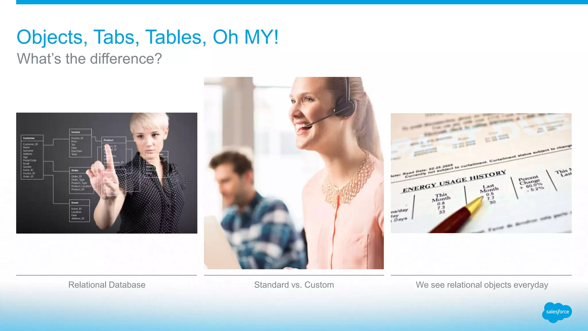 Relational Database Standard vs. Custom We see relational objects everyday
What’s the difference?
Objects, Tabs, Tables, Oh MY!
 