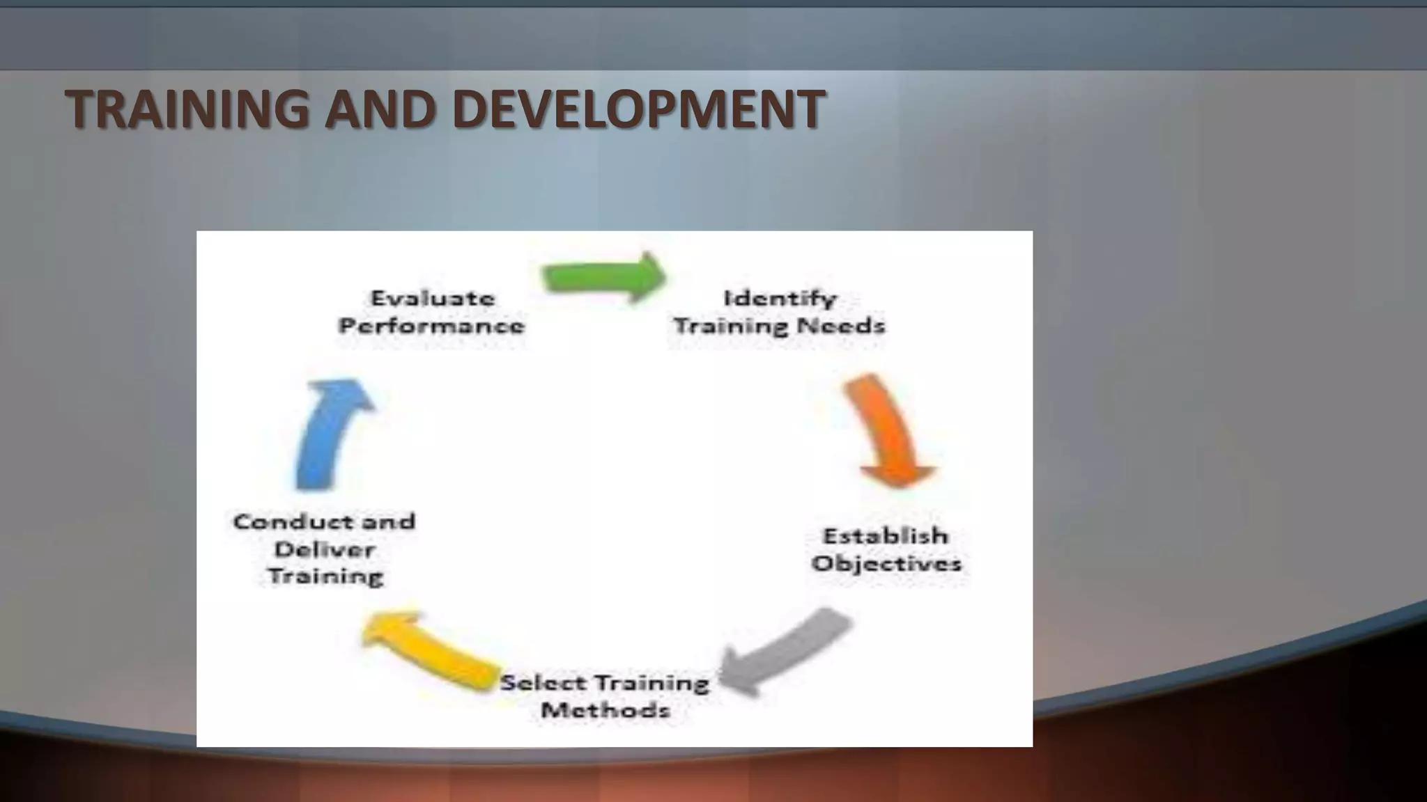 TRAINING AND DEVELOPMENT
 