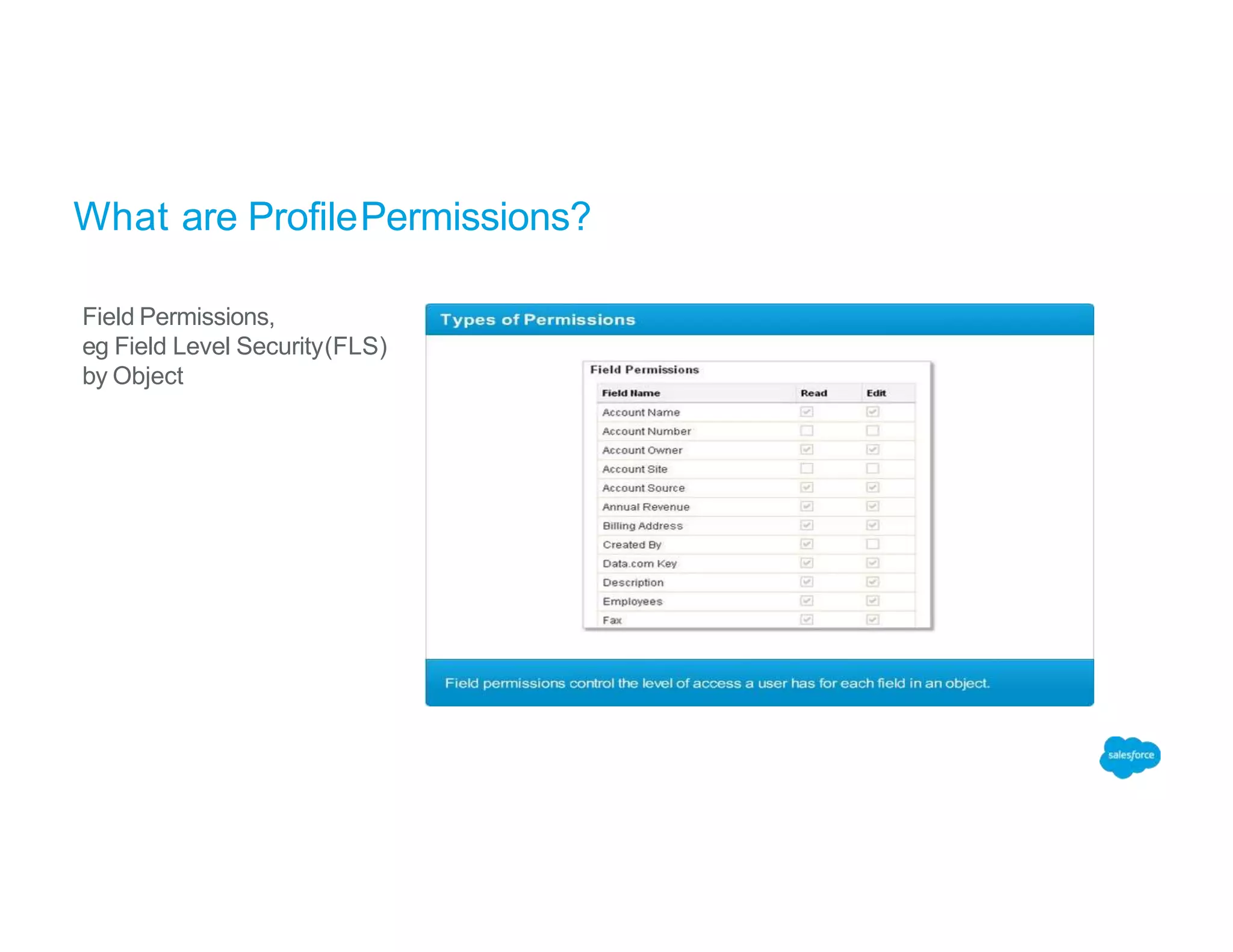 What are ProfilePermissions?
Field Permissions,
eg Field Level Security(FLS)
by Object
 