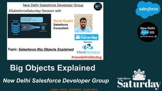 New Delhi Salesforce Developer Group
LEARN . SHARE . CELEBRATE . SALESFORCE
Big Objects Explained
 