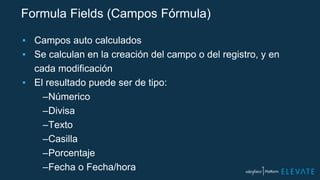 Formula Fields (Campos Fórmula)
▪ Campos auto calculados
▪ Se calculan en la creación del campo o del registro, y en
cada modificación
▪ El resultado puede ser de tipo:
–Númerico
–Divisa
–Texto
–Casilla
–Porcentaje
–Fecha o Fecha/hora
 