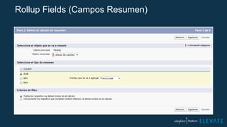 Rollup Fields (Campos Resumen)
 