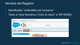 Nombre del Registro
▪ Identificador “entendible por humanos”
▪ Texto or Auto Numérico ("Intro to Apex" or SP-00002)
 
