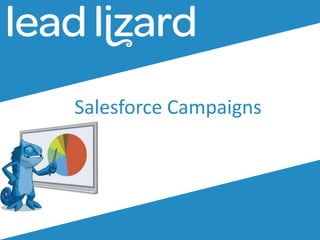 Salesforce Campaigns
 