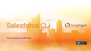Salesforce CLI
The developer multi-tool
 