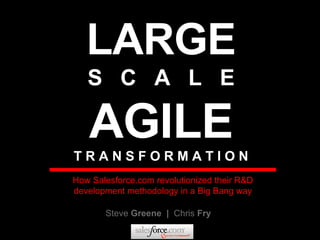 LARGE S  C  A  L  E AGILE T R A N S F O R M A T I O N Steve  Greene  |  Chris  Fry How Salesforce.com revolutionized their R&D development methodology in a Big Bang way 