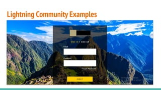 Lightning Community Examples
 