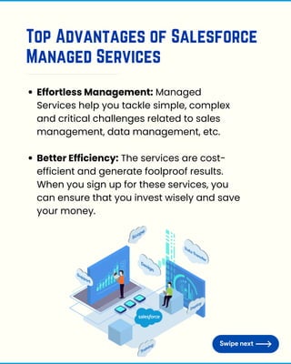 Salesforce CRM Managed Services A Beginner's Guide | PDF
