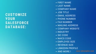 CUSTOMIZE
YOUR
SALESFORCE
DATABASE:
www.tdinsights.com
FIRST NAME
LAST NAME
COMPANY NAME
JOB TITLE
EMAIL ADDRESS
PHONE NUMBER
FAX NUMBER
MAILING ADDRESS
COMPANY WEBSITE
INDUSTRY
SIC CODE
NAICS CODE
EMPLOYEE SIZE
REVENUE SIZE
LINKEDIN PROFILE
AND MORE.!
 