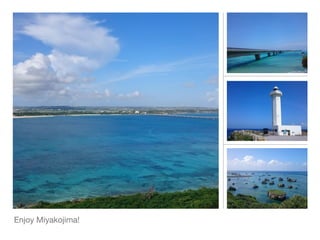 Enjoy Miyakojima!
 