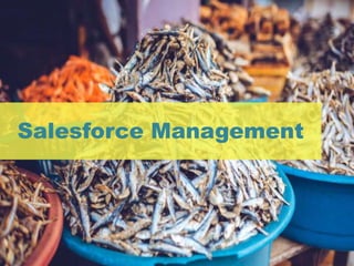 Salesforce Management
 
