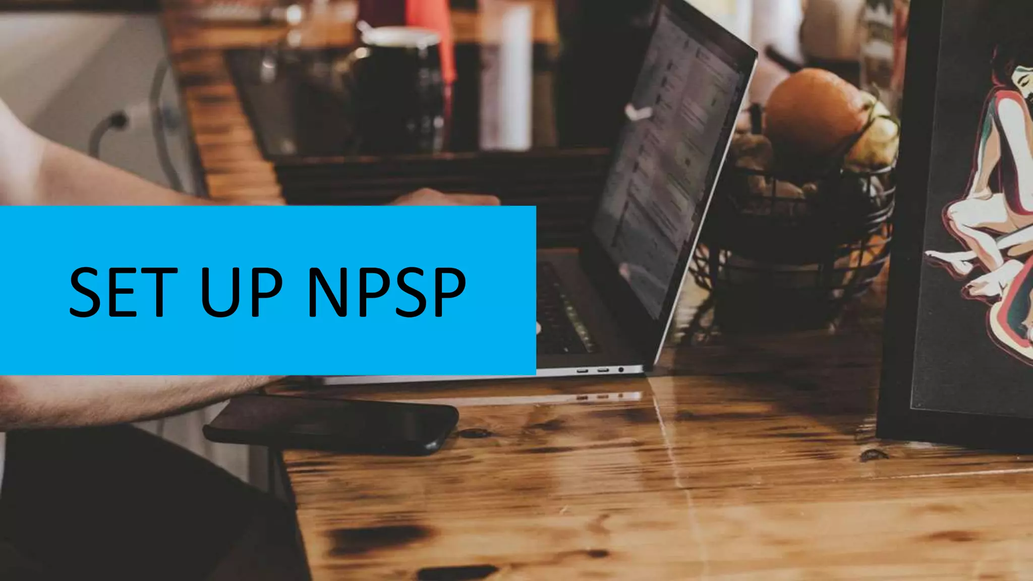SET UP NPSP
 