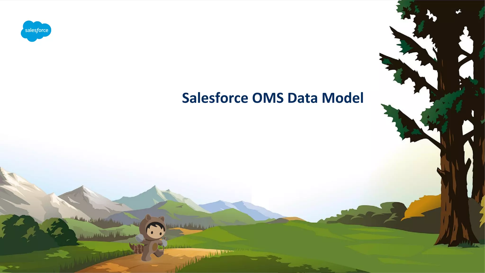 Salesforce OMS Data Model
 